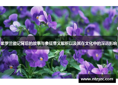 紫罗兰徽记背后的故事与象征意义解析以及其在文化中的深远影响
