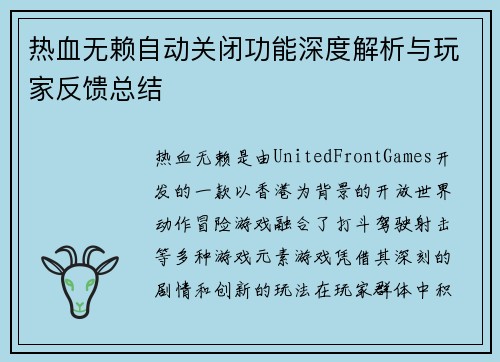 热血无赖自动关闭功能深度解析与玩家反馈总结